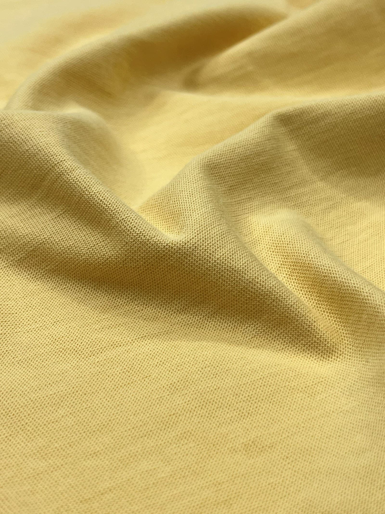 Single Jersey swatch, 100% Cotton